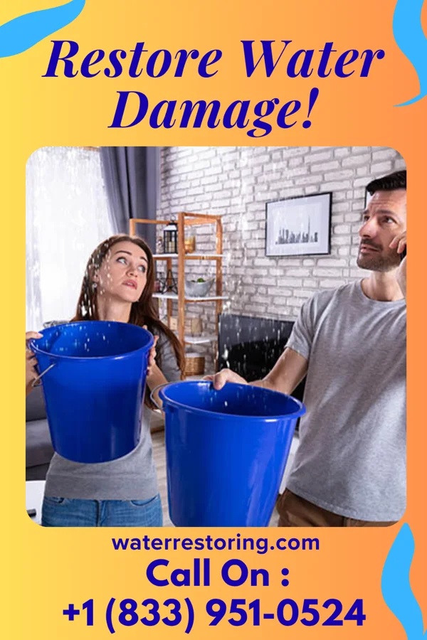 water restoration Best Mitigation Solutions Manor