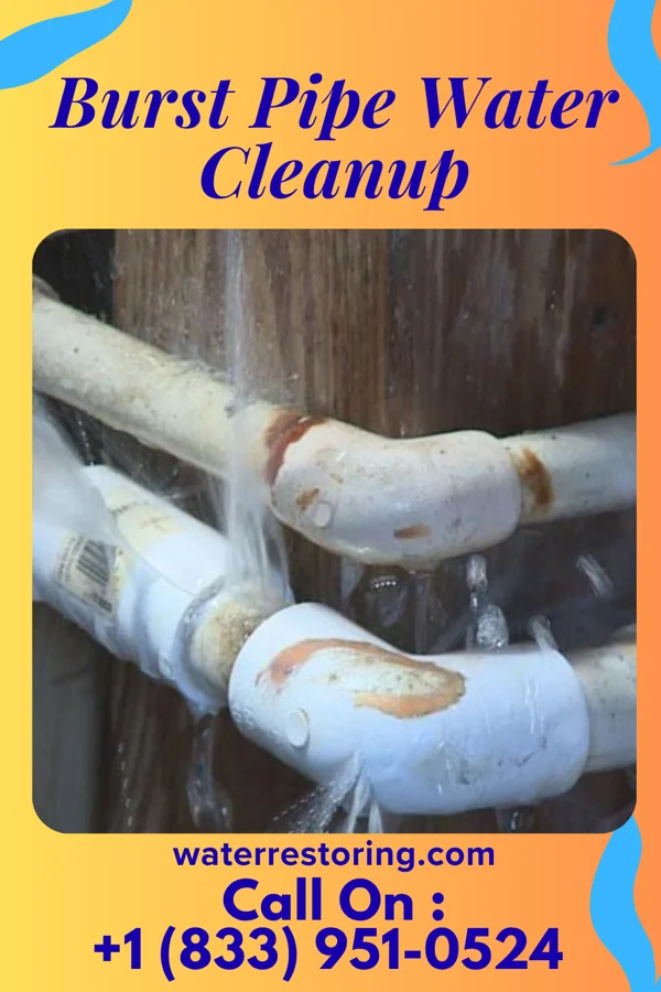 Burst Pipe Water Cleanup in Manor, PA