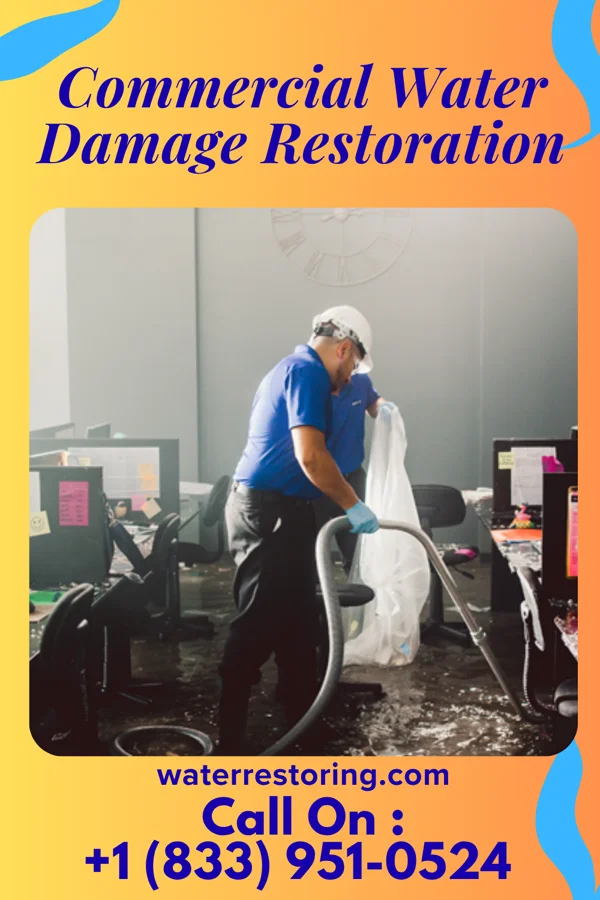 Commercial Water Damage Restoration in Manor, PA