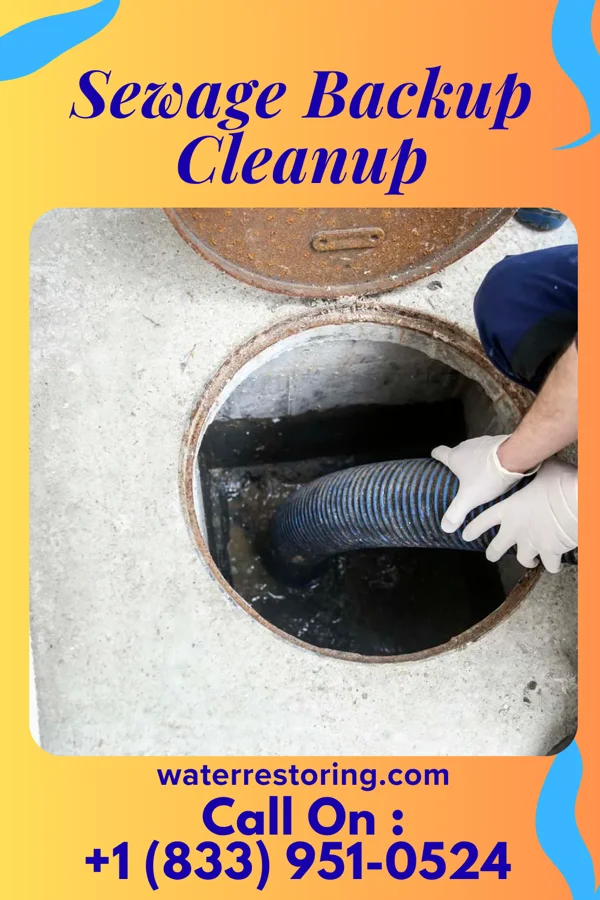 Sewage Backup Cleanup in Manor, PA