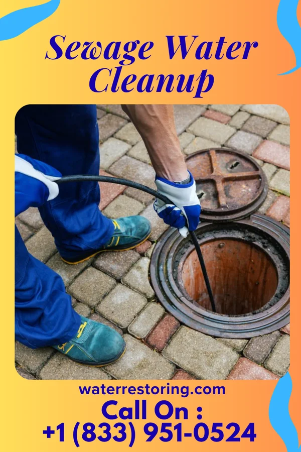 Sewage Water Cleanup in Manor, PA