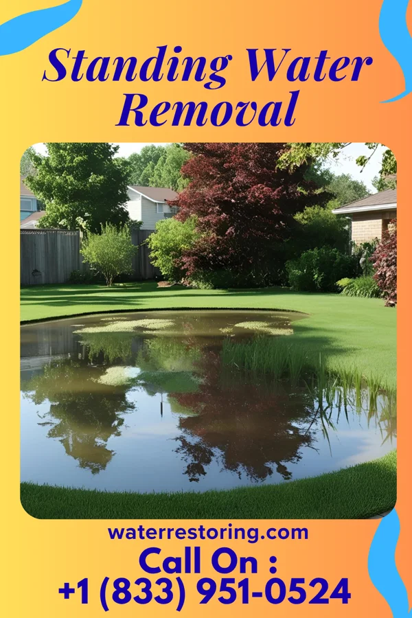 Standing Water Removal in Manor, PA